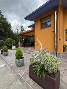 a house with some plants in front of it at Estancia Edurne in Mungia +46 photos