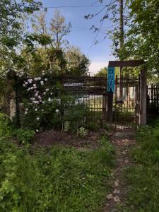 Imagen de la galería de Mettavasi, en Kutaisi