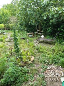 Imagen de la galería de Mettavasi, en Kutaisi