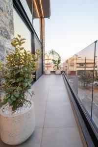 a corridor with potted plants on a building at Etheras 2 - Holiday Apartments in Asgourou