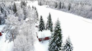 a cabin in the snow next to a group of trees at Lapland Aurora Riverside in Raiskio