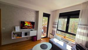 a living room with a couch and a tv at Apartman Silver Lux in Zlatibor