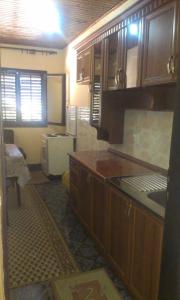 Kuchyň nebo kuchyňský kout v ubytování Guesthouse Sinani