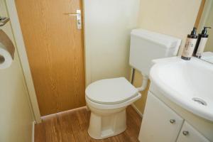 a small bathroom with a toilet and a sink at chalet fazant in Serooskerke