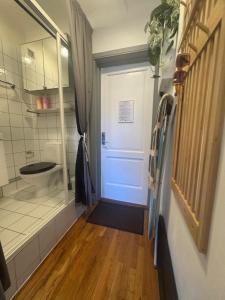 a bathroom with a toilet and a walk in shower at Professor Dahls Gate 16 in Oslo