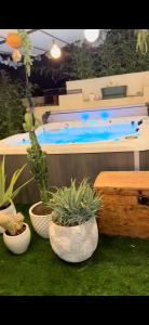 three potted plants sitting on the grass next to a swimming pool at La tanière in Les Brugassières
