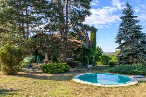スレムスキ・カルロヴツィにあるKings Hill - Familly Retreatの庭にスイミングプールがある家