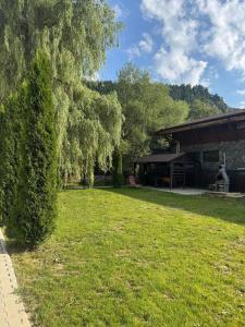 ein grüner Hof mit einem Baum und einem Gebäude in der Unterkunft Elitegasthaus Moieciu 2 cazare Bran in Bran