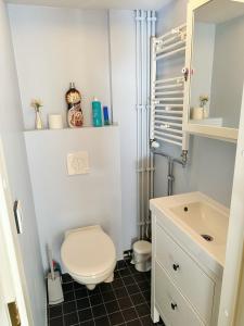 un piccolo bagno con un water e un lavandino di Natural Cottage a Kauniainen