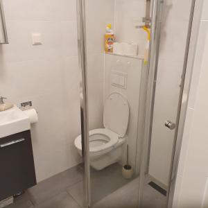 a small bathroom with a toilet and a sink at City 1100 in Vienna
