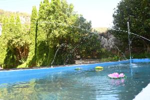 a pool with a pink flower in the water at La casa del agua Cantabria in Ampuero