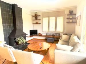 a living room with a couch and a fireplace at CAL QuEROL LlíViA 1- reformado con piscina en el centro in Llivia