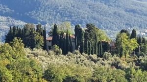 una casa en la cima de una colina con árboles en Villa Ca' di Monte, en Scopeti