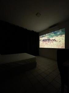 a dark room with a television with zebras on the screen at Grey Flat Comfort in Garanhuns