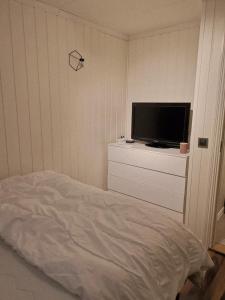 Μια τηλεόραση ή/και κέντρο ψυχαγωγίας στο Apartment centrally located in Tromsø with free parking
