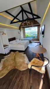 a bedroom with a bed and a large rug on the floor at Villa Dolce Amore - Boutique Hotel - Panorâmica in Campos do Jordão