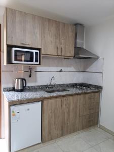 a kitchen with a sink and a microwave at Coronado Hospedaje in Tupungato