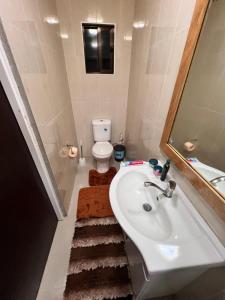 a bathroom with a sink and a toilet and a mirror at Carerras Tranquil Retreat in Nadi International Airport