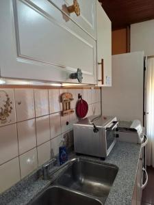a kitchen counter with a sink and a microwave at Alojamiento Passiflora I in Villa Elisa