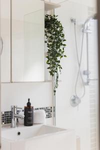 a bathroom with a sink and a shower with a plant at A Noosa River gem, central and family friendly in Noosaville +19 photos