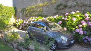 Vonkajšia záhrada v ubytovaní B&B A Piazza del Gesù