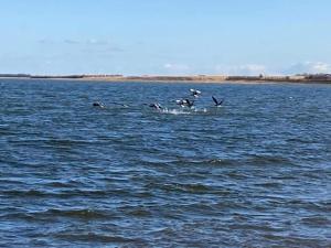 Gallery image of Nice property Swimming pool, Gym in Mellet