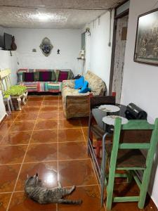 Φωτογραφία από το άλμπουμ του Un café en el camino, Guesthouse σε Salento