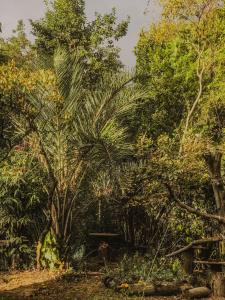 Photo de la galerie de l'établissement Suíte Oriente Vale do Capão Refúgio acolhedor com vista para montanha & pet friendly, à Caeté-Açu