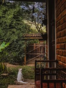 Photo de la galerie de l'établissement Suíte Oriente Vale do Capão Refúgio acolhedor com vista para montanha & pet friendly, à Caeté-Açu