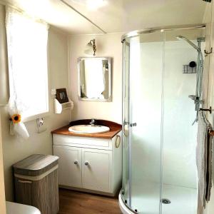 a bathroom with a sink and a shower at Little Rose Cottage in Rotherham
