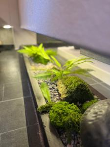 Imagen de la galería de Natureco Boutique Hotel, en Zhangjiajie