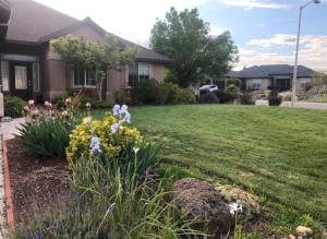 a house with flowers in the yard at Stunning Beauty in Redding