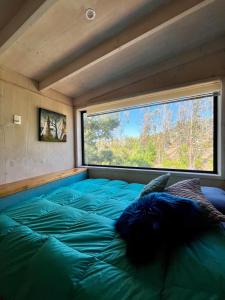 a large bed in a room with a large window at Tiny Houses del bosque in Pichilemu