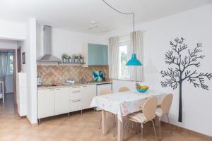 Kuchyň nebo kuchyňský kout v ubytování Apartments Roža