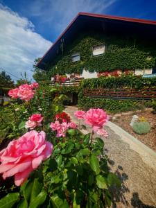 Afbeelding uit fotogalerij van Nauportus in Vrhnika