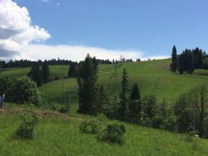 Príroda v okolí apartmánu