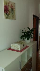 Fotografie z fotogalerie ubytování Apartment Klara v Primoštenu