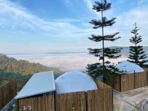 ein Blick von der Spitze eines Zauns mit einem Baum in der Unterkunft ร่มการเวก เขาค้อ ROM KARAVEK Khao Kho Resort in Khao Kho