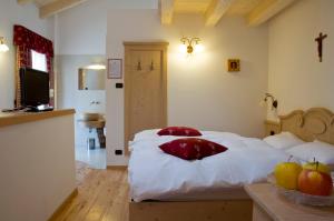 TV a/nebo společenská místnost v ubytování Agritur Golden Pause