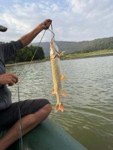 Fotografie z fotogalerie ubytování Shaori Lake Cottages v destinaci Kharistʼvala