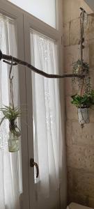 une porte avec une fenêtre avec des plantes en pot dessus dans l'établissement Palazzo Emy, à Lecce