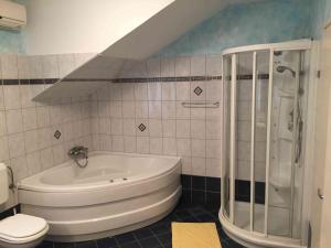 a bathroom with a shower and a toilet and a sink at Apartments Oliva in Poreč +37 photos