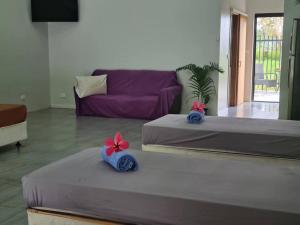 Backpackers in Paradise的有两张床和一张沙发的客厅