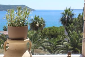 a plant in a pot sitting on a window sill at Swiss Residence Montenegro in Herceg-Novi