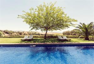 een zwembad met 2 stoelen en een boom bij The Lodge Ronda in Ronda +28 foto's