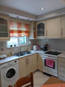 Η κουζίνα ή μικρή κουζίνα στο Deilino Apartment