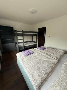 a bedroom with a bed with two bunk beds at Ubytování Včelka - Novohradské hory - Svébohy in Horní Stropnice +21 photos