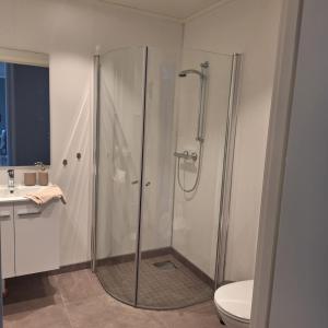 a bathroom with a shower and a toilet and a sink at Helt ny sentral 2-roms leilighet i Dyrøy in Brostadbotn