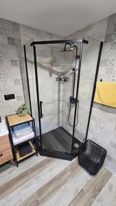 a shower with a glass door in a bathroom at Wiśniowe Zacisze - Agroturystyka in Sułkowice +41 photos
