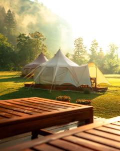 two tents on the grass in a field at Glamping Gozdna Jasa in Bovec
